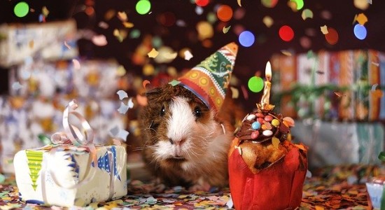Festa 40 anni a tema gadget e idee originali