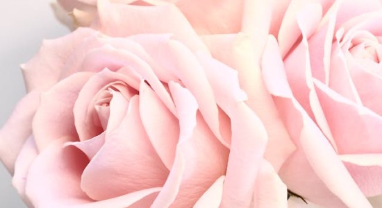 gadget per foto matrimonio